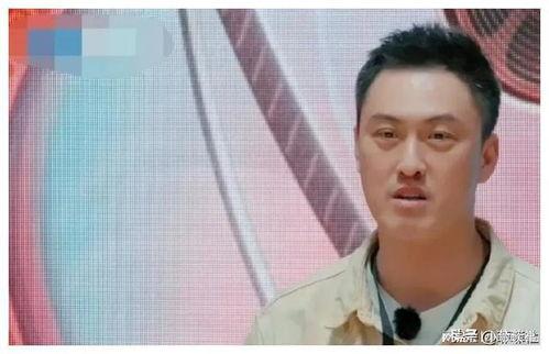 娱乐圈108吃瓜,揭秘明星背后的秘密与八卦