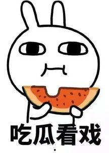 娱乐吃瓜小q,揭秘娱乐圈那些不为人知的幕后故事