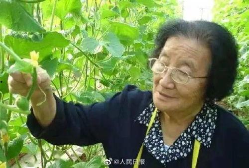 娱乐吃瓜酱一半是植物人